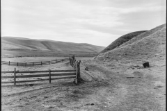 Pasture