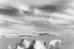 Infrared-beachcombing-