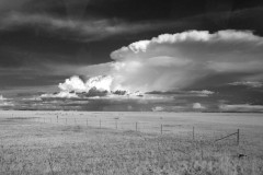 Malheur-6-2019-9933bw